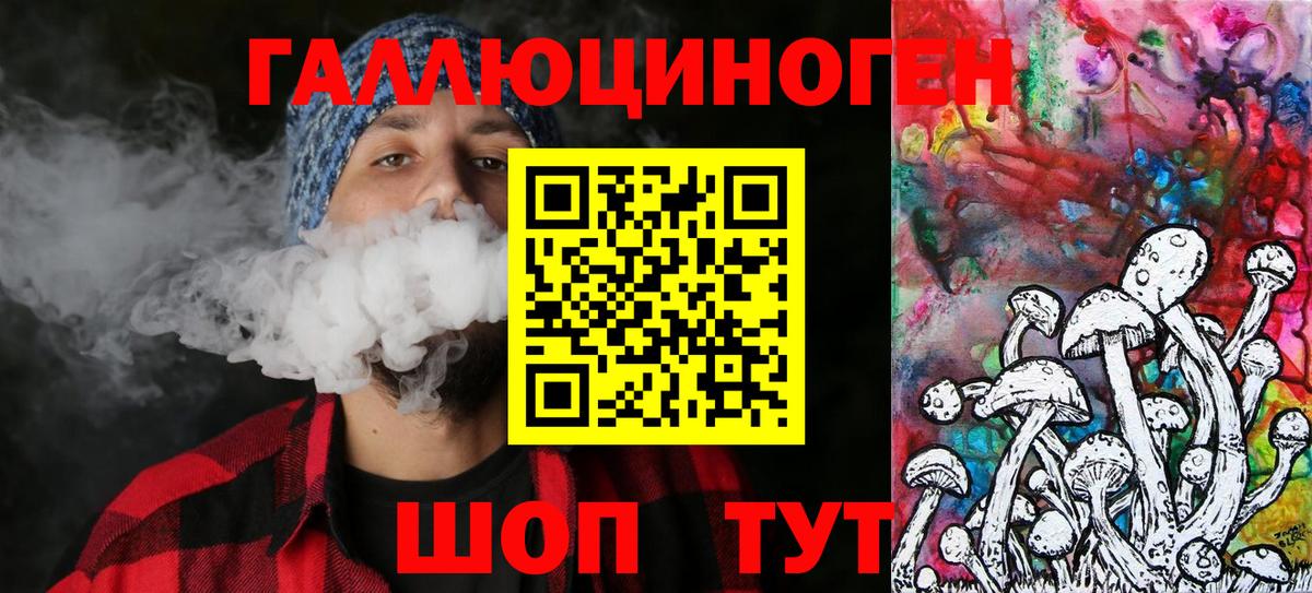 Петровск  где купить наркоту  Вход с VPN  Галлюциногенные грибы Psilocybine cubensis 