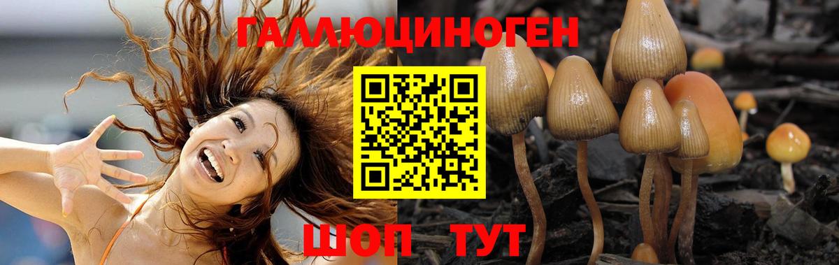 Псилоцибиновые грибы прущие грибы Петровск